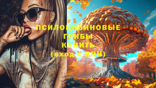 mdma Бородино