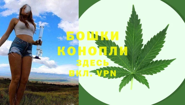 mdma Бородино